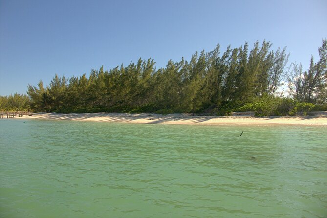 Cozumel Private 4-Hour Boat Tour to Passion Island - Common Questions