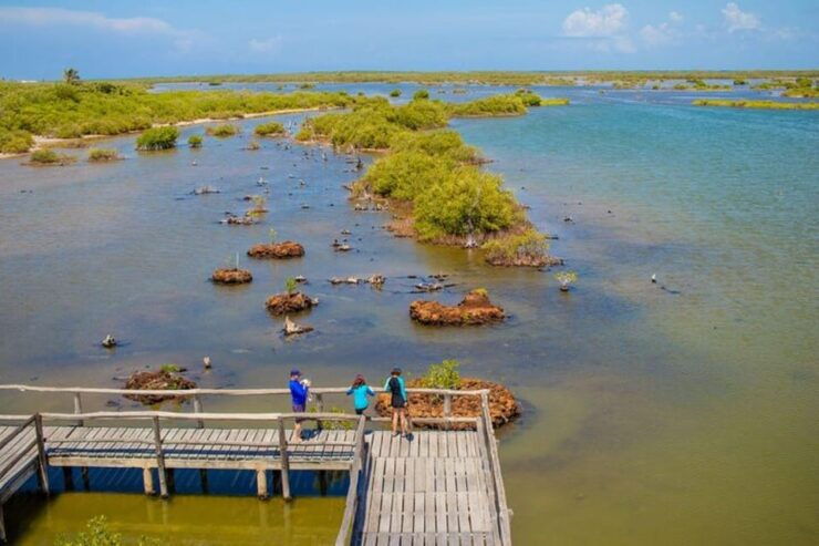 Cozumel: Private Buggy Tour to Punta Sur Park All Inclusive - Itinerary Highlights