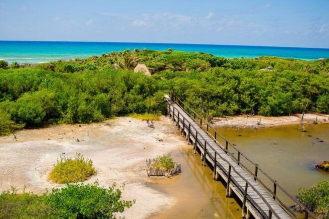 Cozumel: Private Buggy Tour to Punta Sur Park All Inclusive - Customer Feedback