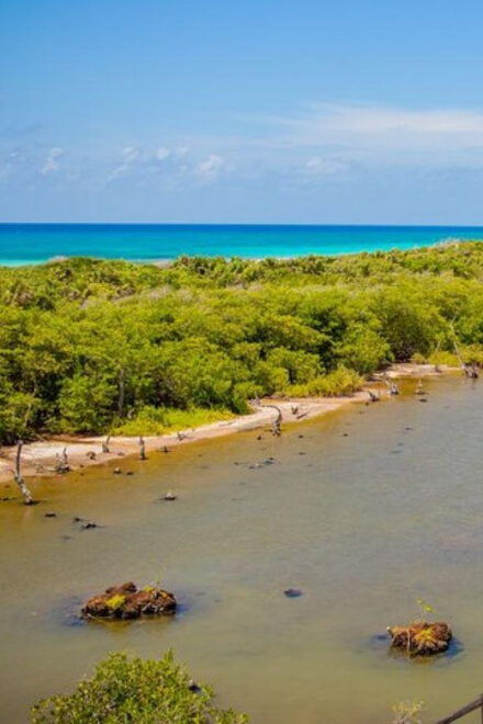 Cozumel: Private Buggy Tour to Punta Sur Park All Inclusive - What to Expect