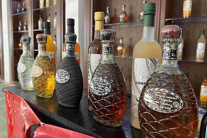 Cozumel Private Island Tour - Starting Point: The Perfect Launchpad in Cozumel