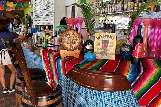 Cozumel Private Island Tour - Transportation and Timing