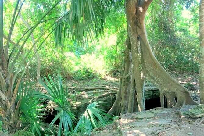 Cozumel: Private Jeep Tour, Mayan Ruins, Snorkeling & Lunch - Final Thoughts