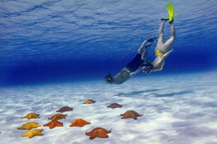 Cozumel: Private Snorkel Tour El Cielo + 3 Reefs Food Drinks - Good To Know
