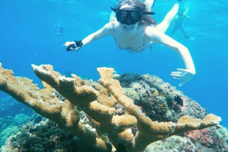 Cozumel: Private Snorkel Tour El Cielo + 3 Reefs Food Drinks - Snorkeling Sites