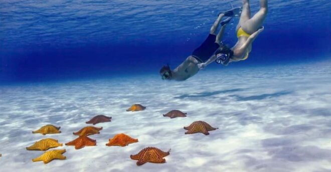 Cozumel: Private Snorkel Tour El Cielo + 3 Reefs Food Drinks - Safety Briefing