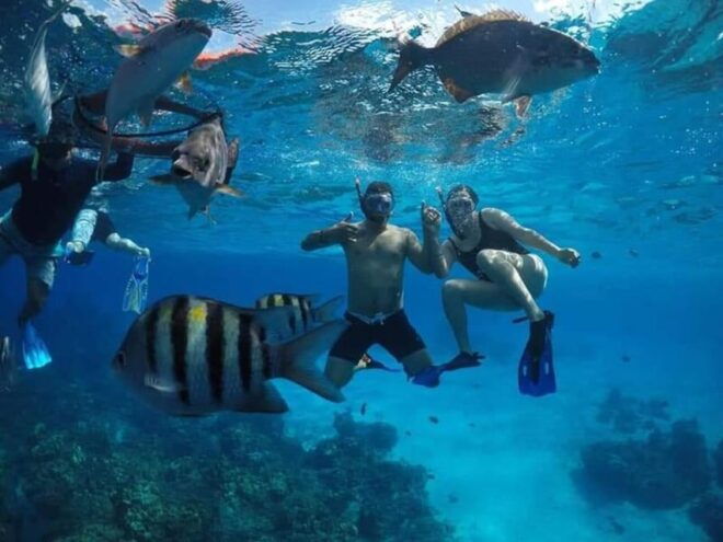 Cozumel: Private Snorkel Trip to El Cielo With Beach Club - Refreshments and Amenities