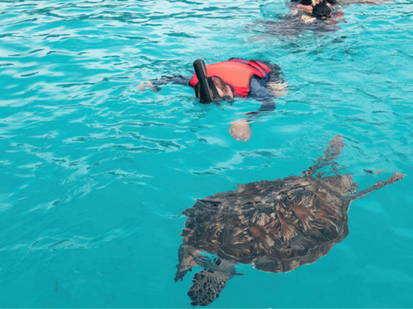 Cozumel: Private Snorkel Trip to El Cielo With Beach Club - Frequently Asked Questions