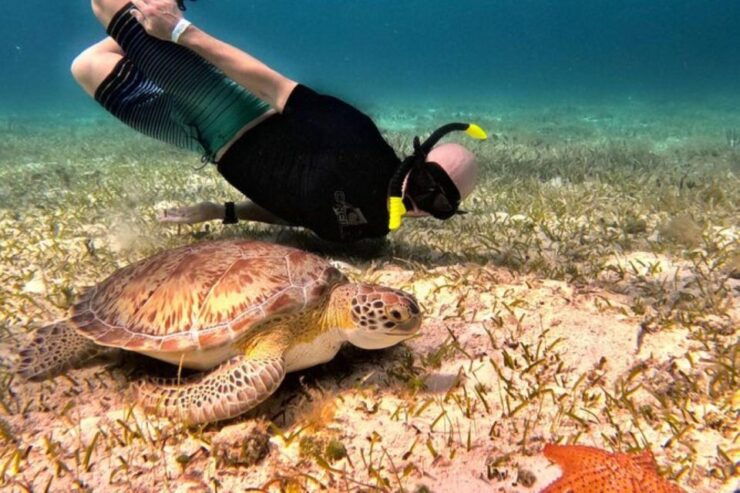 Cozumel: Private Snorkeling and Charter Experience - Experience Highlights