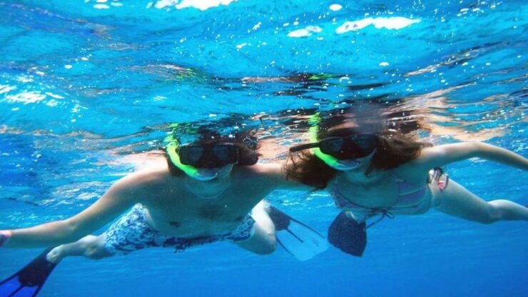 Cozumel: Private Snorkeling Tour - Experience Highlights