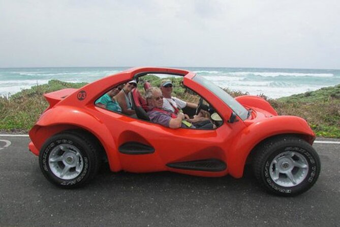 Cozumel Private Tour With Snorkeling, Boat, Beach, and Tequila - Cancellation and Weather Policies