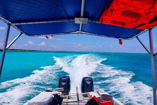 Cozumel Private Two-Tank Dive for Certified Divers - Famous Dive Sites to Choose From