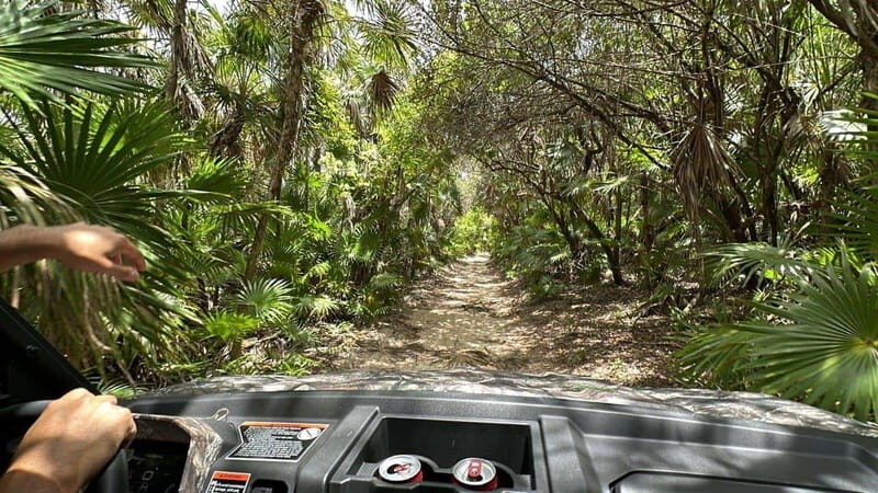 Cozumel: Private Xrail Buggy Adventure to Virgin Beach - The Value of a Private, Personalized Tour