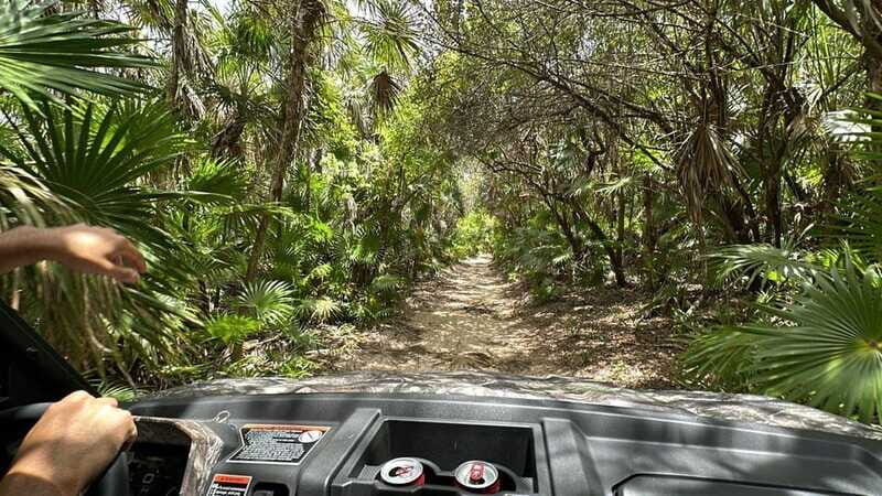 Cozumel: Private Xrail Buggy Adventure to Virgin Beach - Final Recommendation