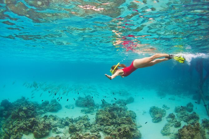 Cozumel Reef Snorkeling Tour - Pickup and Meeting Point Information