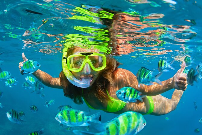 Cozumel Reef Snorkeling Tour - Cancellation Policy and Weather Adaptability