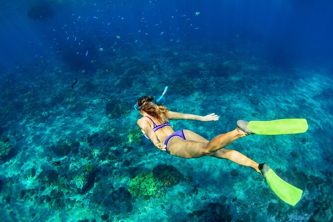 Cozumel Reef Snorkeling Tour - Common Questions