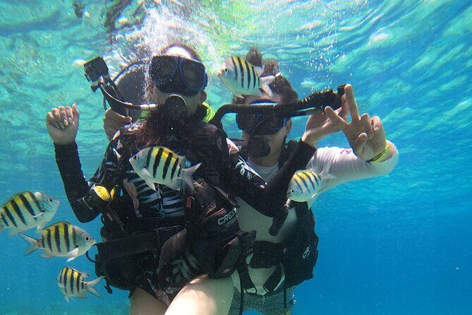 Cozumel Scuba Dive at Chankanaab - Authentic Experiences from Reviewers