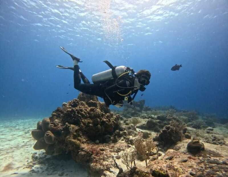 Cozumel Scuba Diving: 2 Tanks in the National Park for certified divers - Why Choose This Tour?