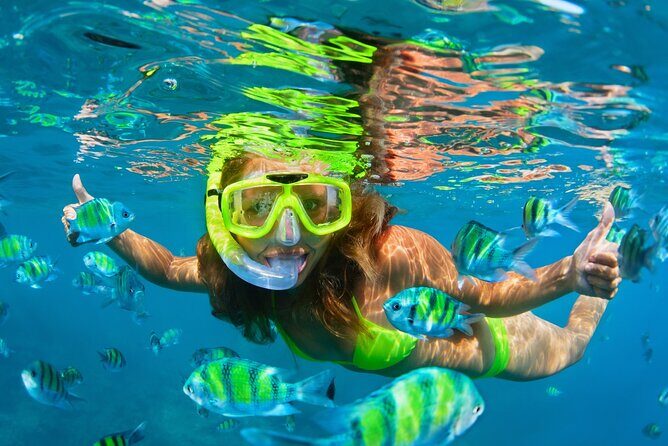 Cozumel Sea Safari Snorkeling Tour - Who Will Love This Tour?