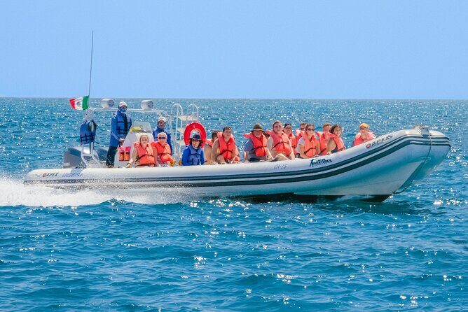 Cozumel Sea Safari Snorkeling Tour - Frequently Asked Questions (FAQs)