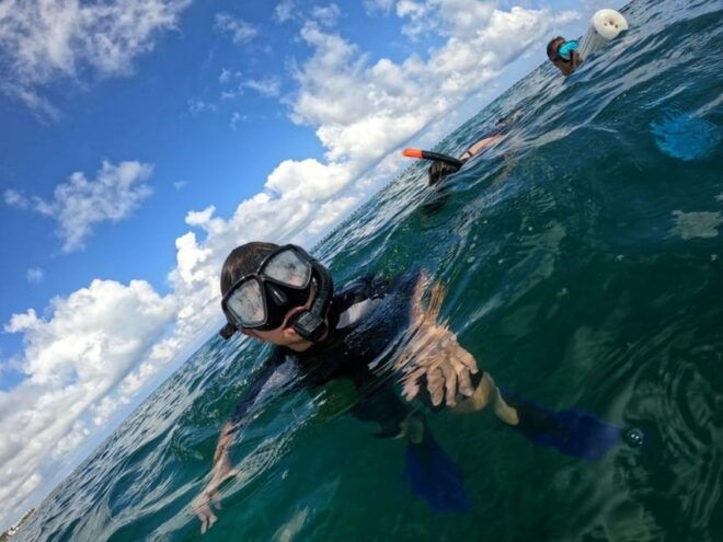 Cozumel: Shipwreck and Reef Dive With Lunch - Cancellation and Reservations