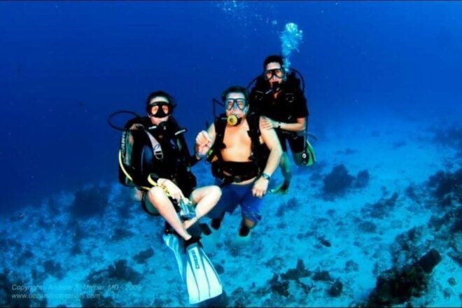 Cozumel: Shipwreck and Reef Dive With Lunch - Important Information