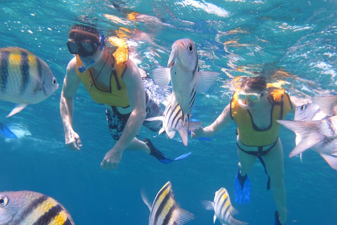 Cozumel Shore Excursion: Playa Uvas Private Beach Pass - Beach Experience and Overall Experience