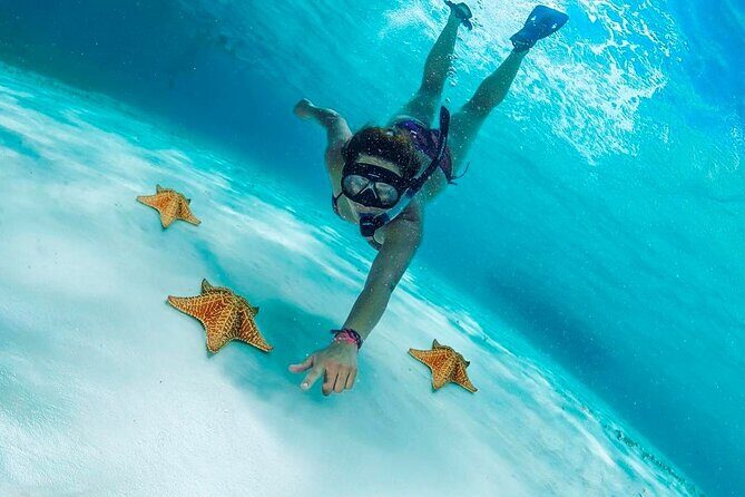 Cozumel Snorkel at El Cielo & 2 Reefs! Transportation from Tulum - In-Depth Look at the Tour Experience