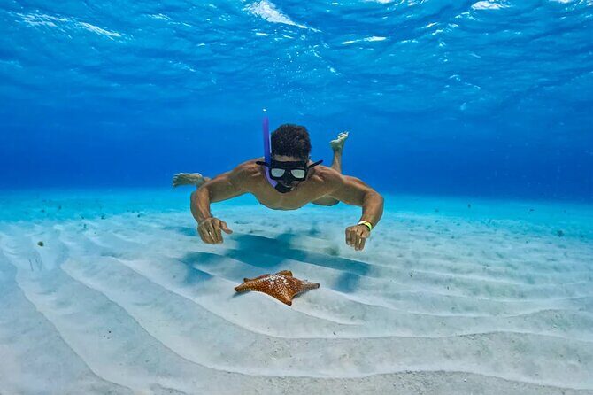 Cozumel: Snorkel at El Cielo, Colombia Reef & Palancar Reef - Good To Know