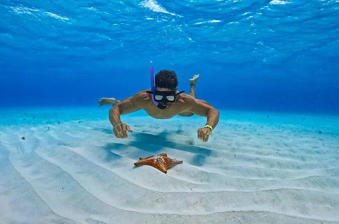 Cozumel: Snorkel at El Cielo, Colombia Reef & Palancar Reef - Is This Tour Worth It?