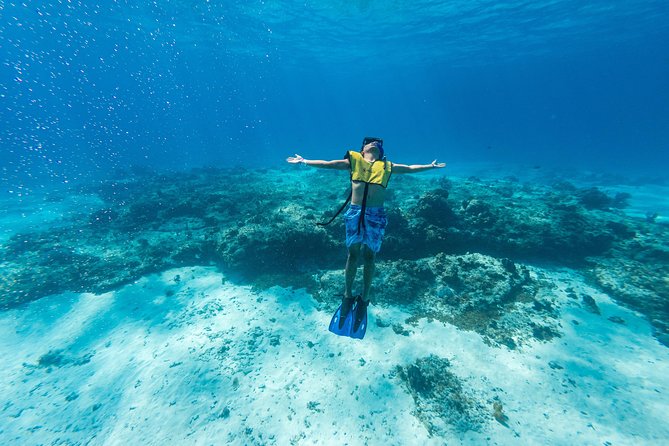 Cozumel Snorkel Tour: Coral Reefs, El Cielo & Beach Break - Tour Experience