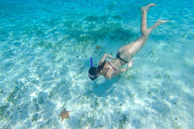 Cozumel Snorkel Tour: Coral Reefs, El Cielo & Beach Break - El Cielo: The Starfish Sanctuary