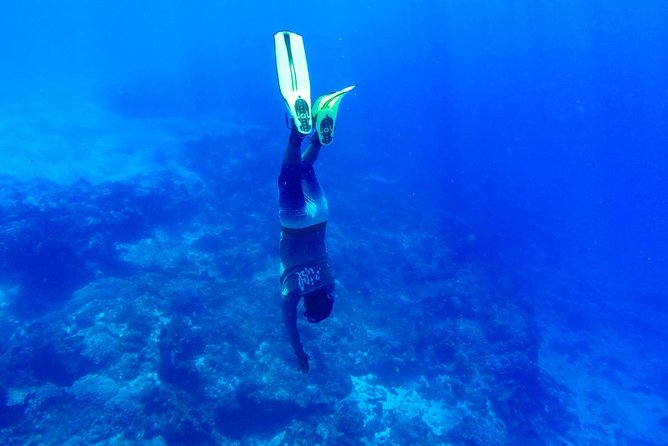 Cozumel Snorkel Tour: Coral Reefs, El Cielo & Beach (Hotel Pick Up) - Cancellation Policy