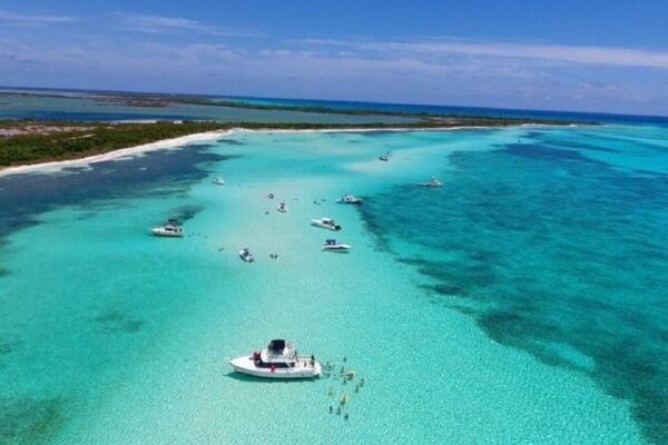 Cozumel: Snorkel Tour to El Cielo, Palancar, and Colombia - Experience Highlights