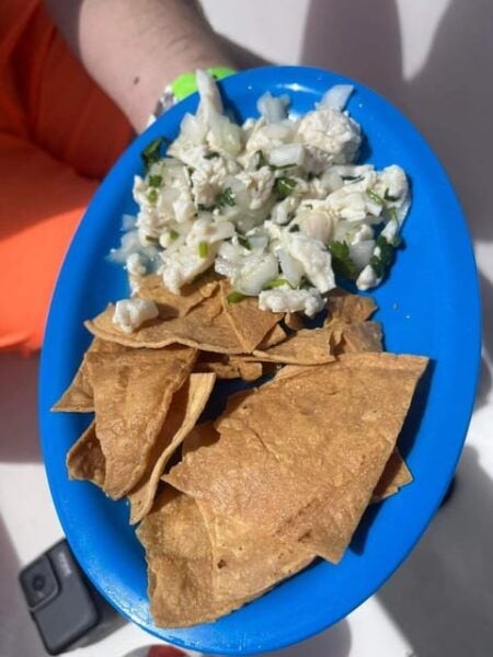 Cozumel: Snorkel Tour to El Cielo, Palancar, and Colombia - Onboard Amenities