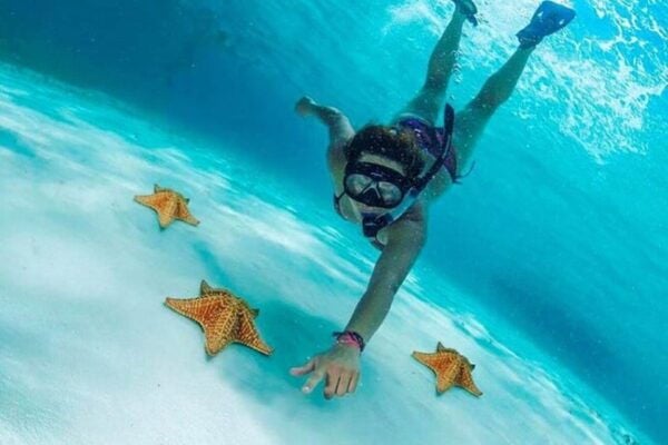 Cozumel: Snorkel Tour to El Cielo, Palancar, and Colombia - Meeting and Booking Information