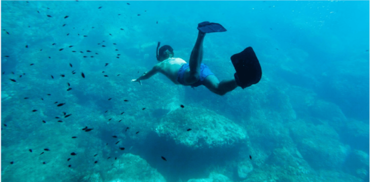 Cozumel: Snorkeling Adventure - Good To Know