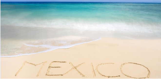 Cozumel: Snorkeling Adventure - Experience Highlights