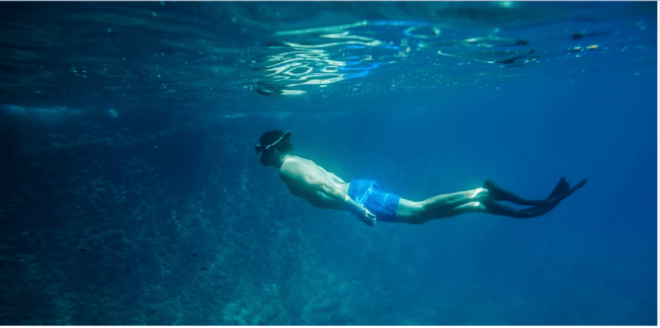 Cozumel: Snorkeling Adventure - Itinerary Details