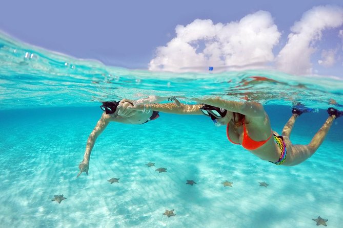 Cozumel Snorkeling Adventure Full Day Tour - Overview of Cozumel Snorkeling Adventure Tour