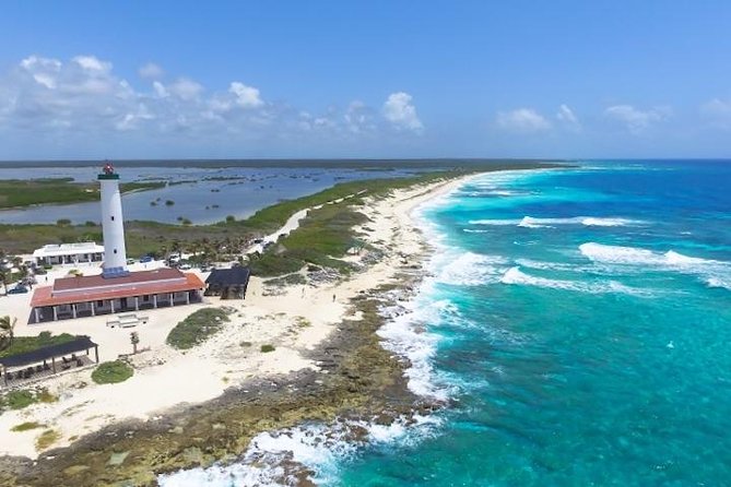 Cozumel Snorkeling Adventure Full Day Tour - Snorkeling and Discovering Underwater Wonders