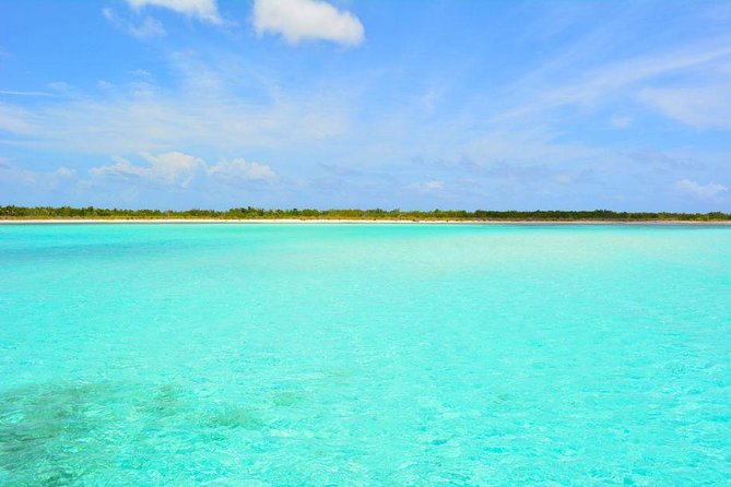 Cozumel Snorkeling Adventure Full Day Tour - Cancellation Policy and Customer Reviews
