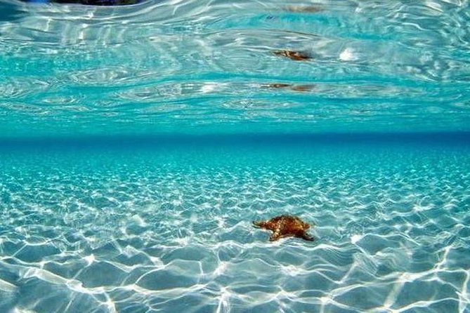 Cozumel Snorkeling Adventure Full Day Tour - Common Questions