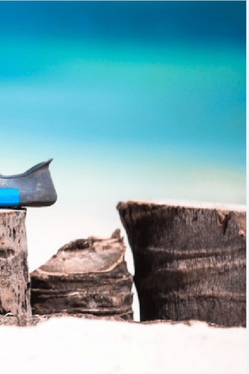 Cozumel: Snorkeling Adventure - Booking Information