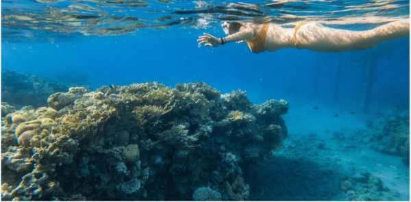 Cozumel: Snorkeling Adventure - Getting to Cozumel