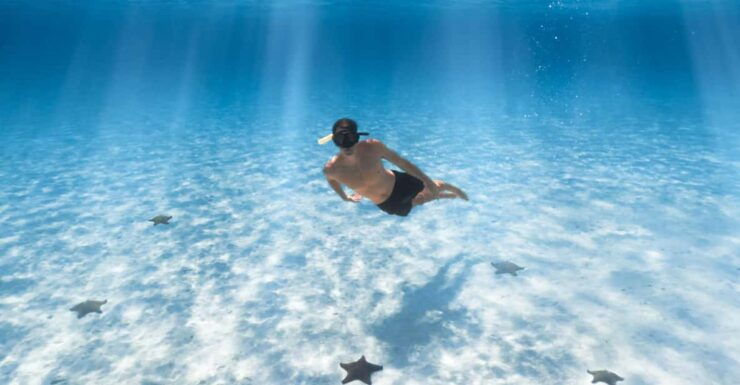 Cozumel: Snorkeling and Beach Break Tour - Good To Know