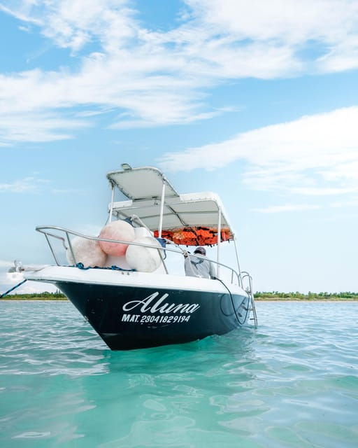 Cozumel: Snorkeling and Beach Break Tour - Itinerary and Activities