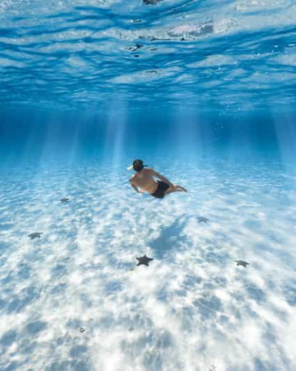 Cozumel: Snorkeling and Beach Break Tour - Experience Highlights