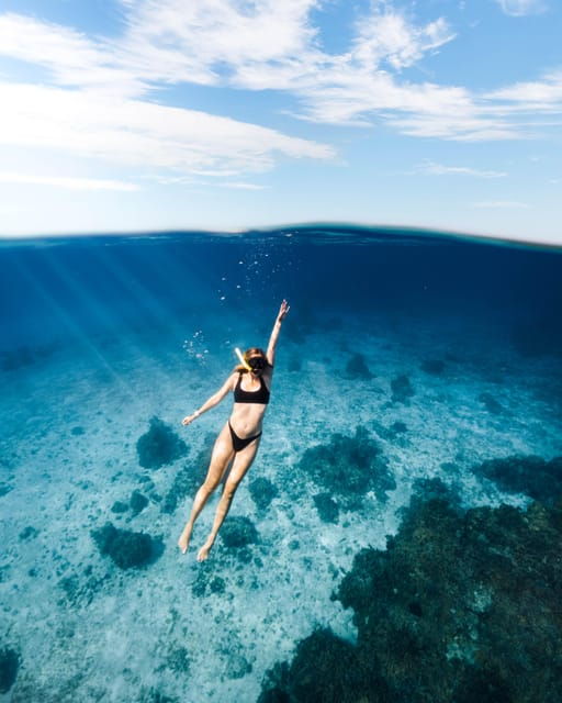 Cozumel: Snorkeling and Beach Break Tour - Included in the Tour